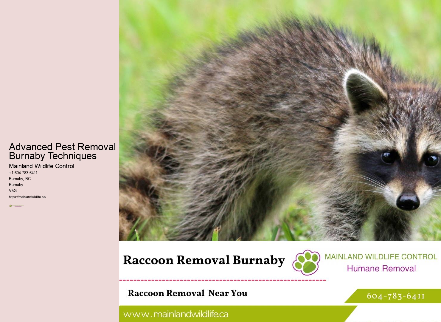 Advanced Eco-friendly Pest Control Burnaby