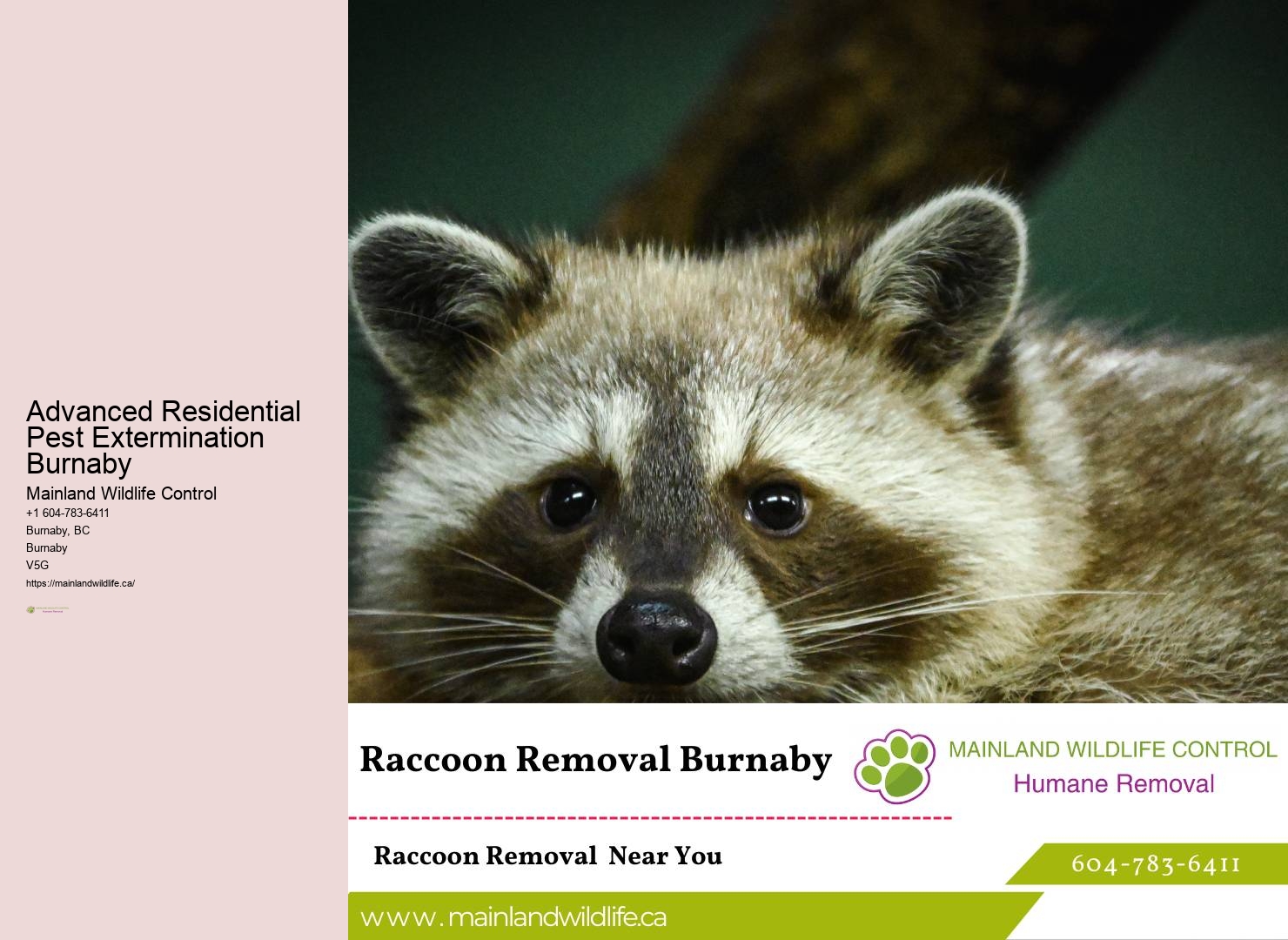 Trusted Eco-friendly Pest Control Burnaby