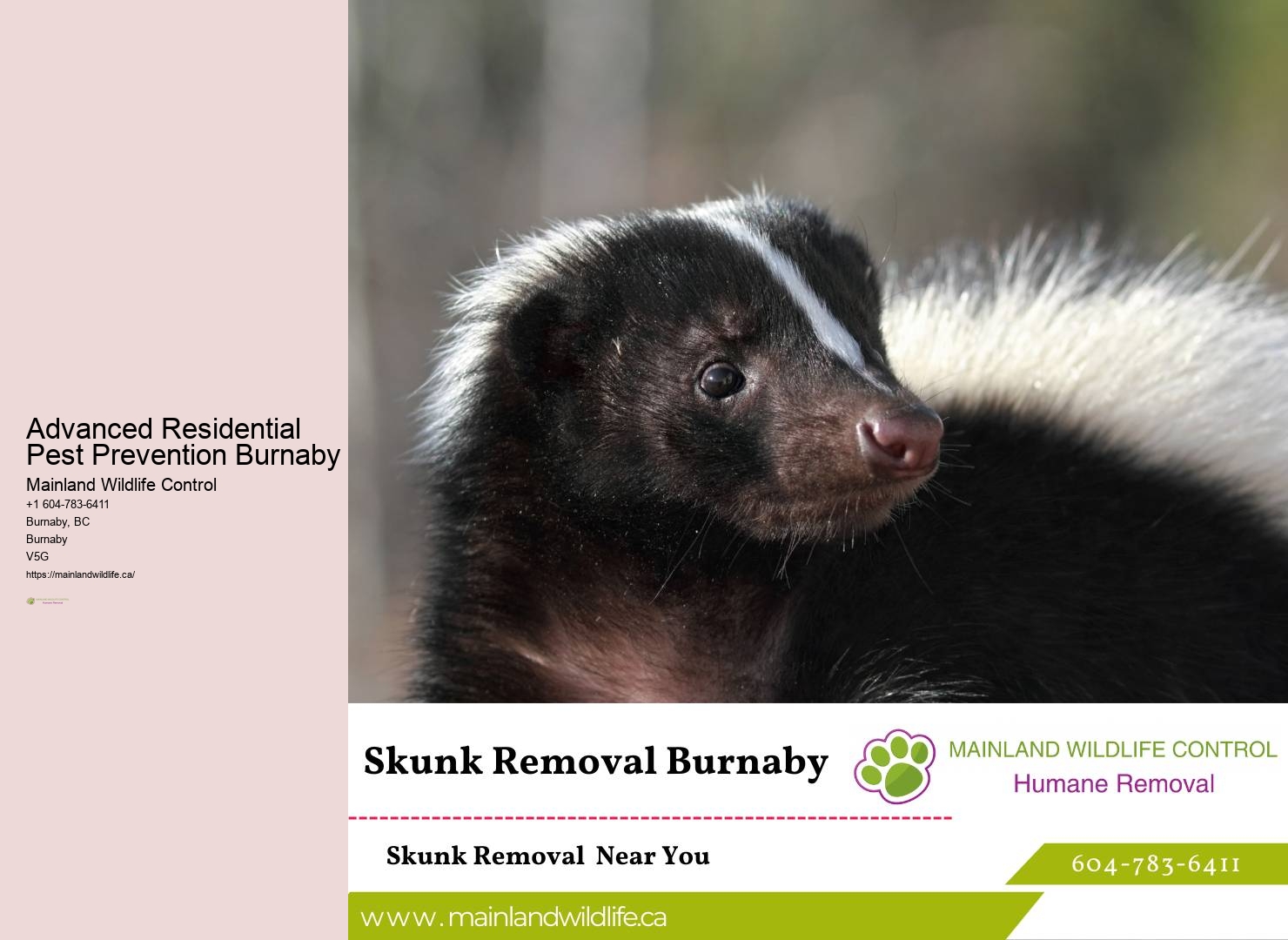 Effective Pest Control Services Burnaby