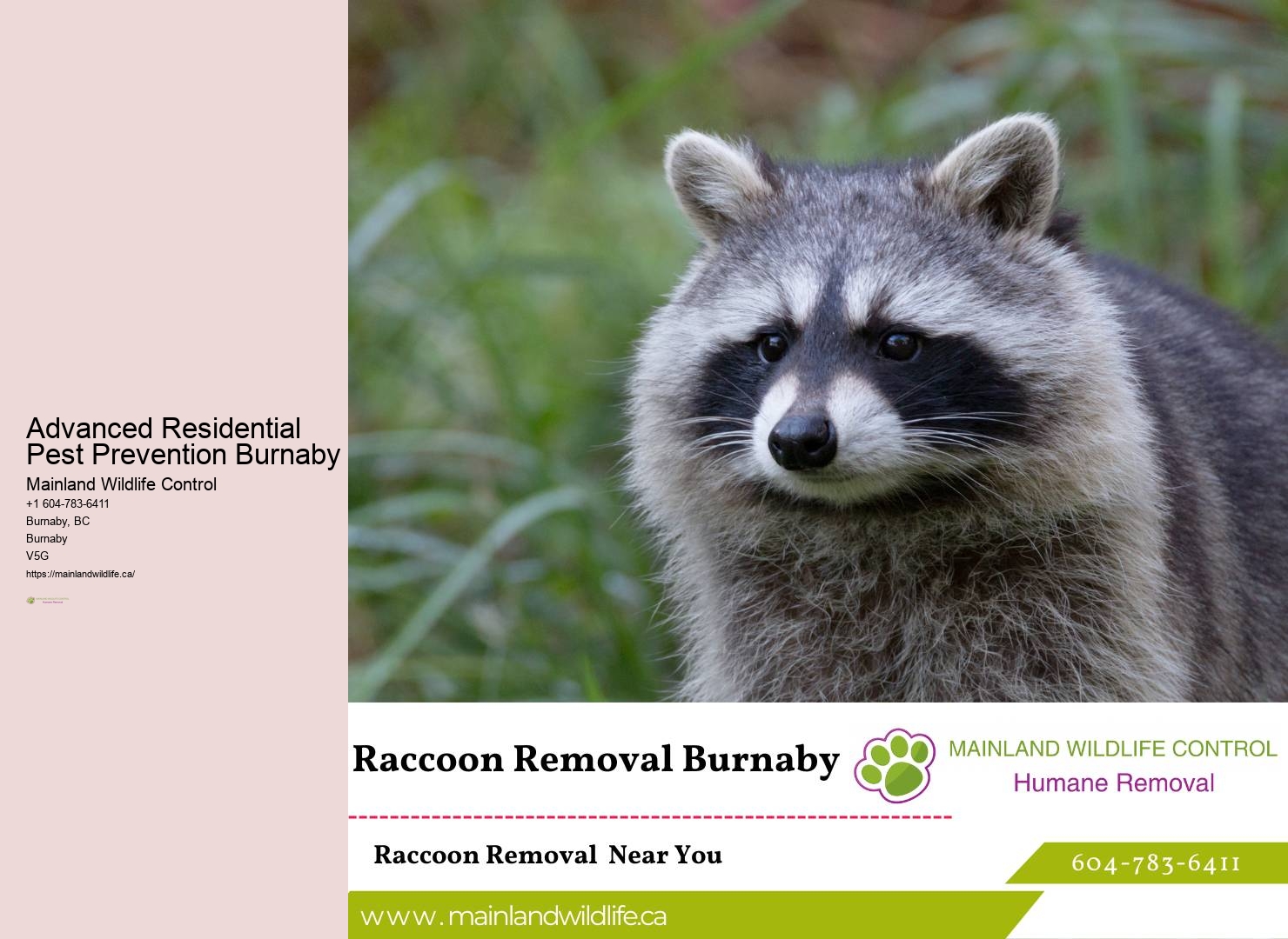 Eco-conscious Pest Control Solutions Burnaby