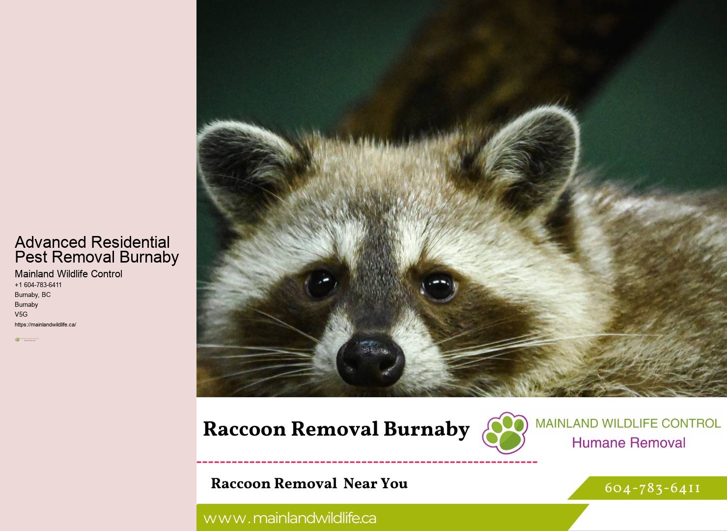 Best Pest Control Burnaby