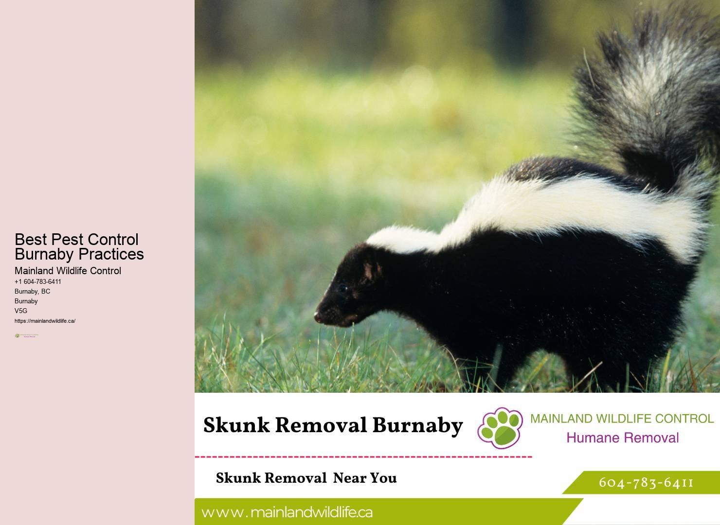 24/7 Pest Control Services Burnaby