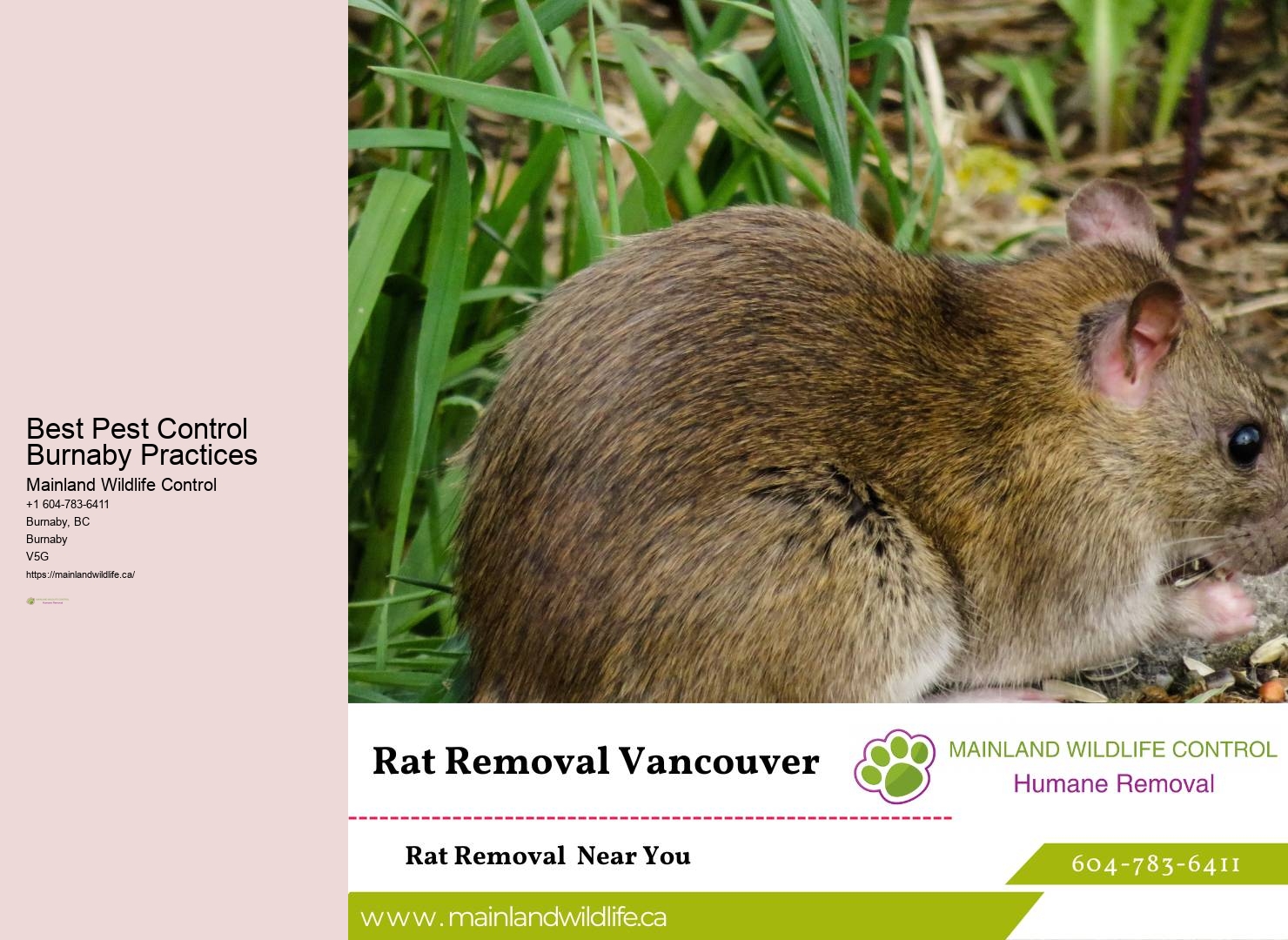 Preventive Pest Control Services Burnaby