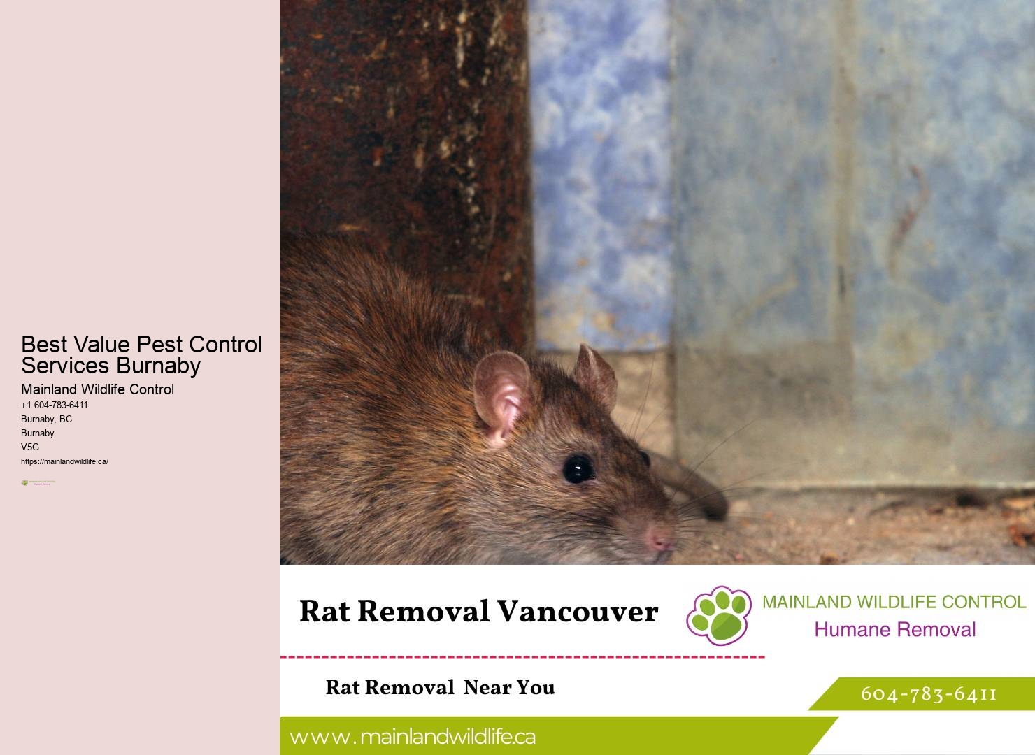 Professional Commercial Pest Prevention Services Burnaby