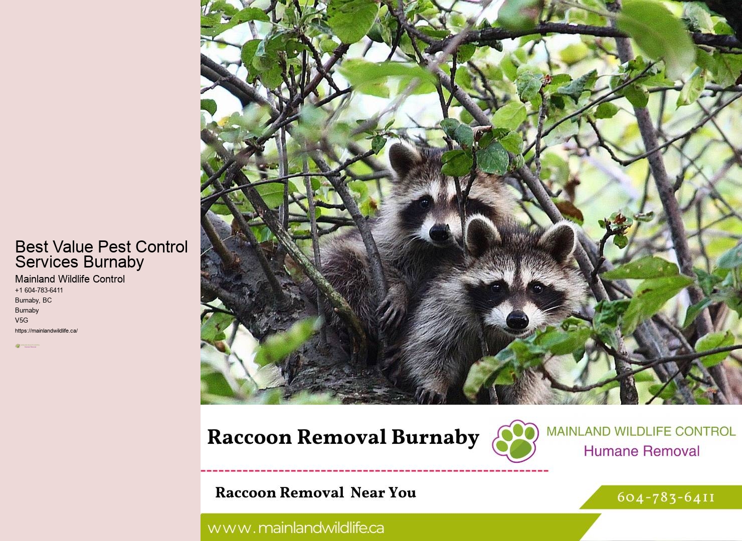 Flexible Pest Control Options Burnaby