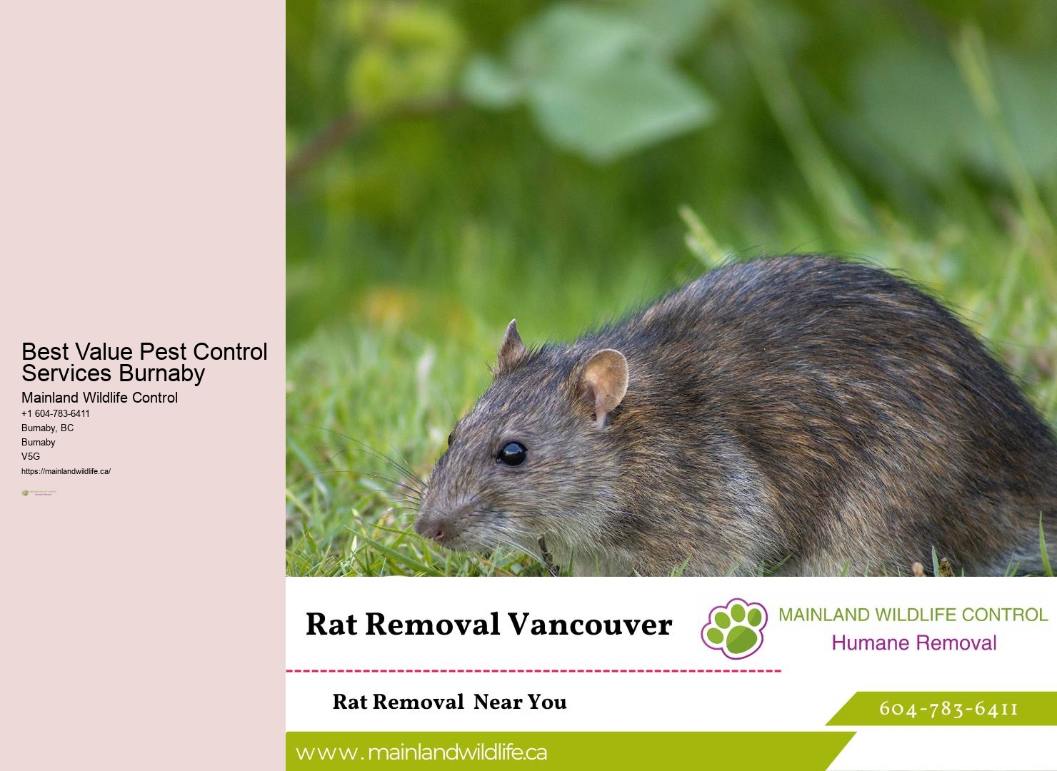 Advanced Pest Detection Burnaby