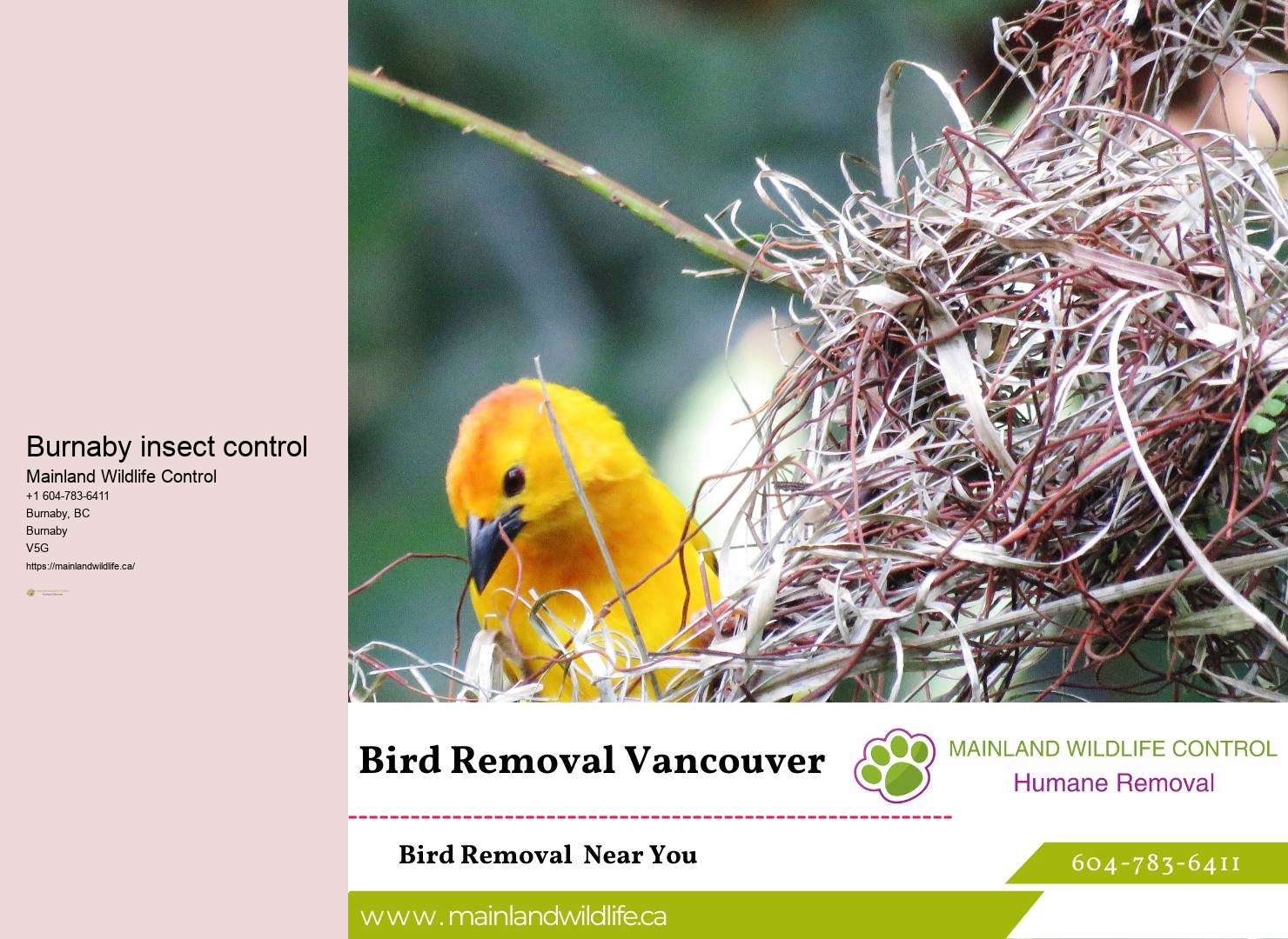 Proven Residential Pest Prevention Methods Burnaby