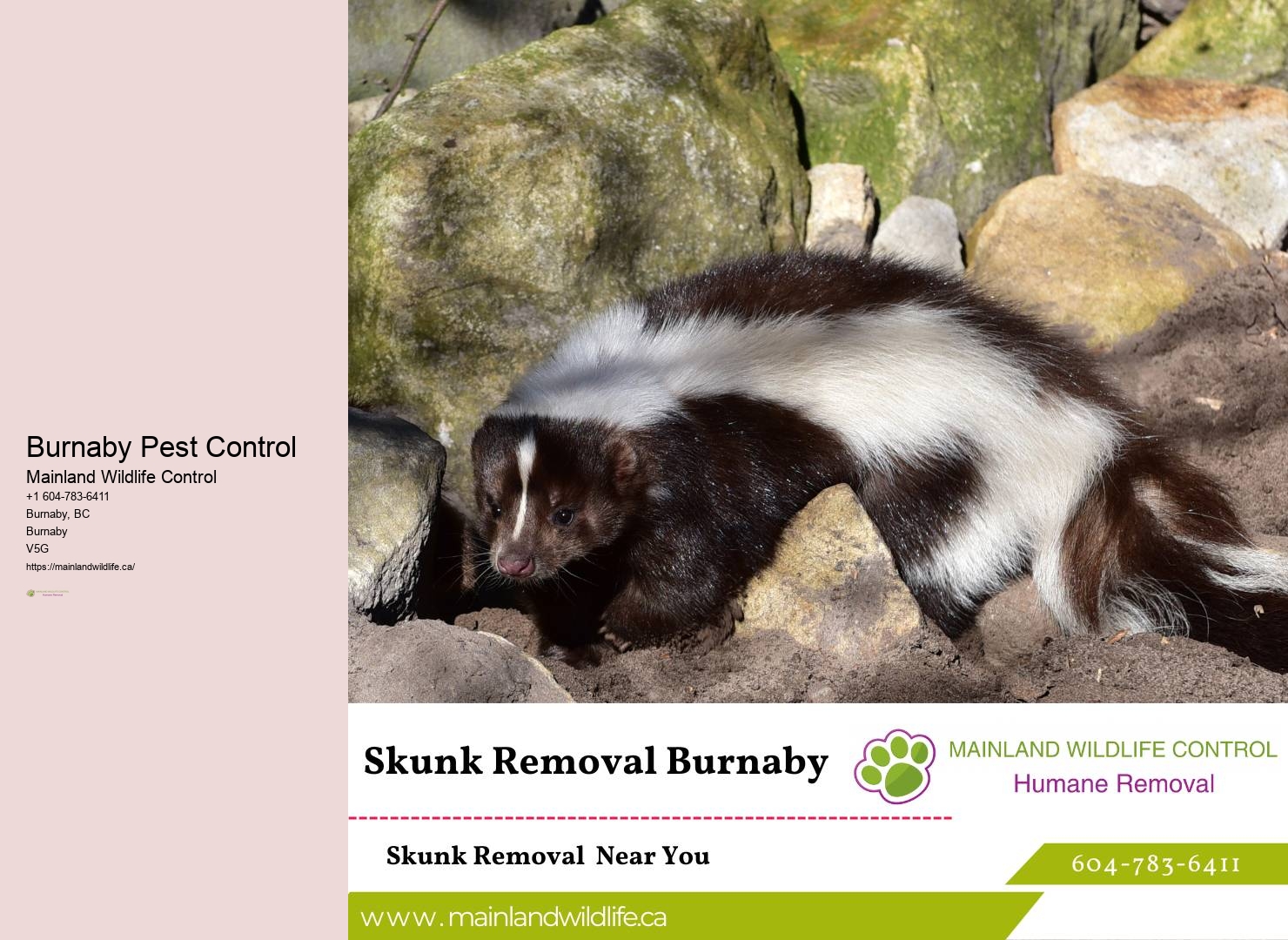 Local Pest Control Company Burnaby
