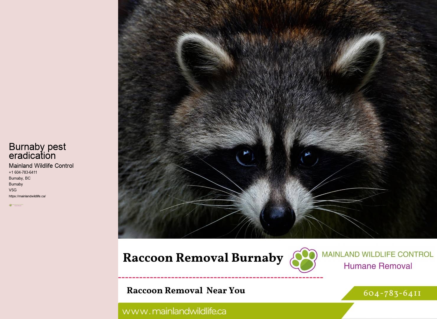 Burnaby pest eradication