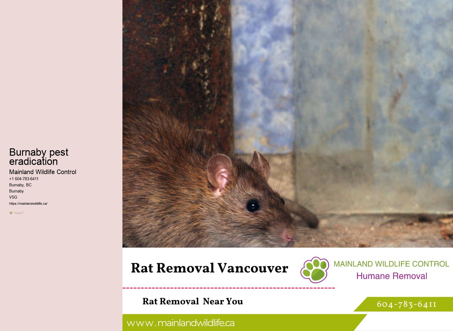 Affordable Extermination Services Burnaby
