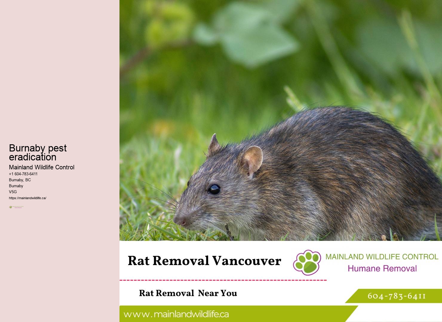 Proven Residential Pest Prevention Burnaby