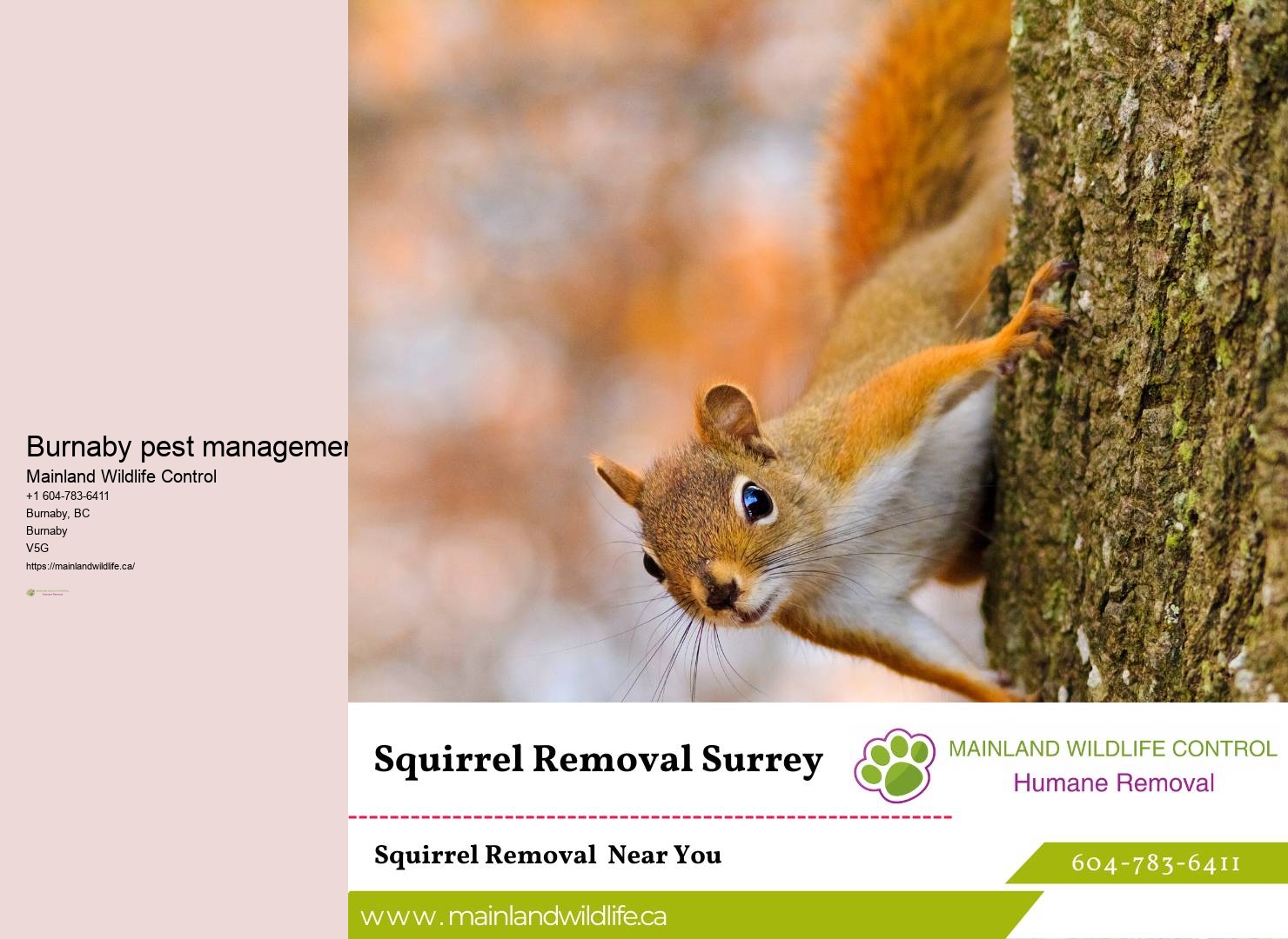 Earth-friendly Pest Control Burnaby