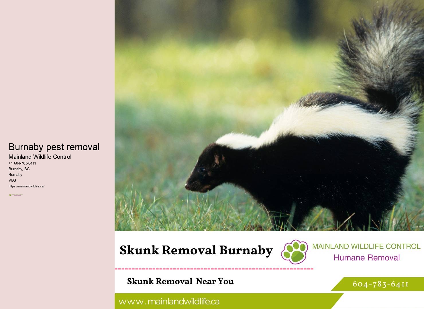 Top-rated Commercial Pest Eradication Solutions Burnaby