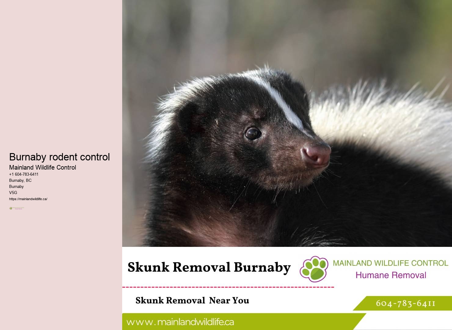 Effective Pest Control Burnaby