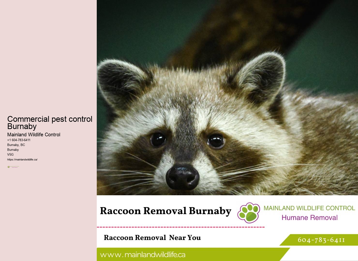 Trusted Pest Control Companies Burnaby