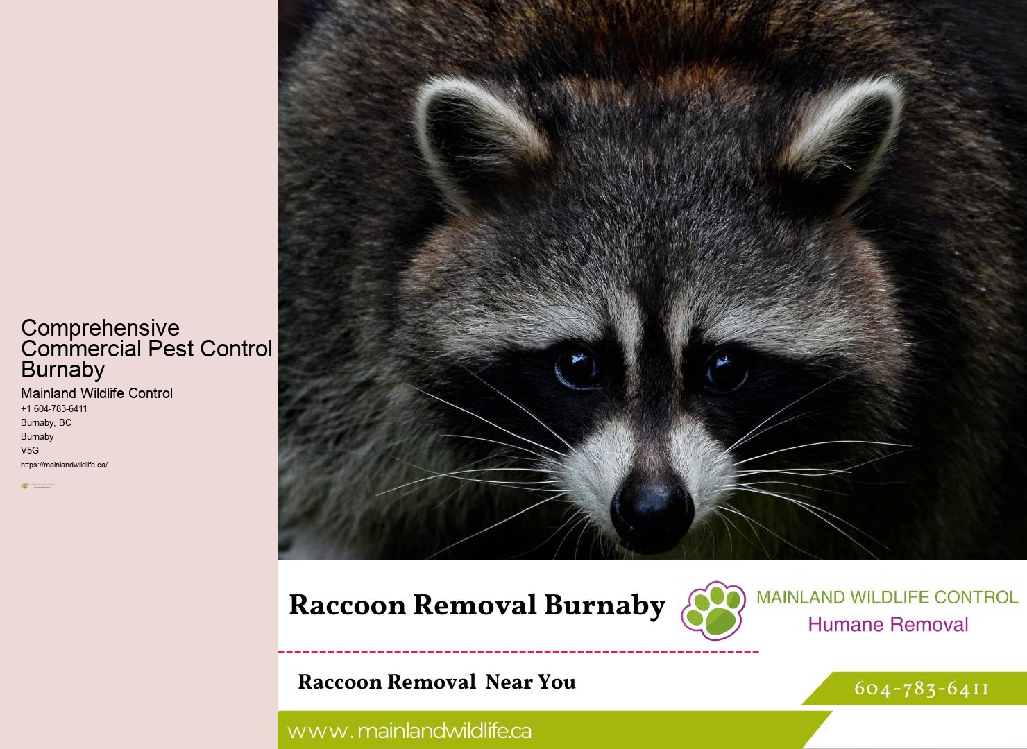 Comprehensive Commercial Pest Control Burnaby