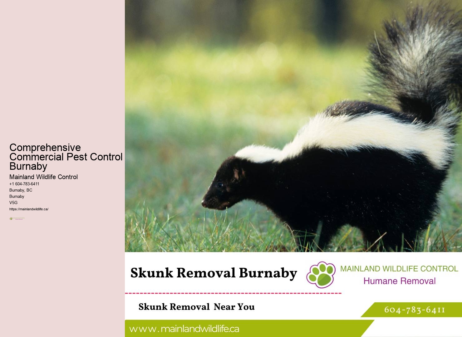 Rodent Pest Control Burnaby
