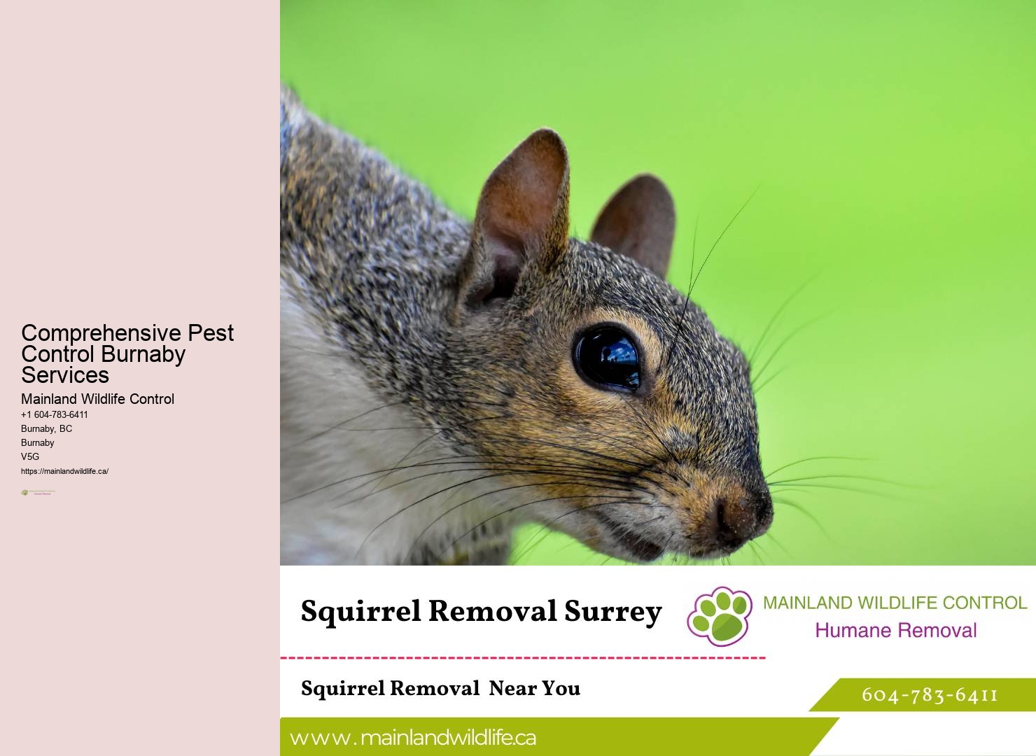Top-rated Pest Control Burnaby