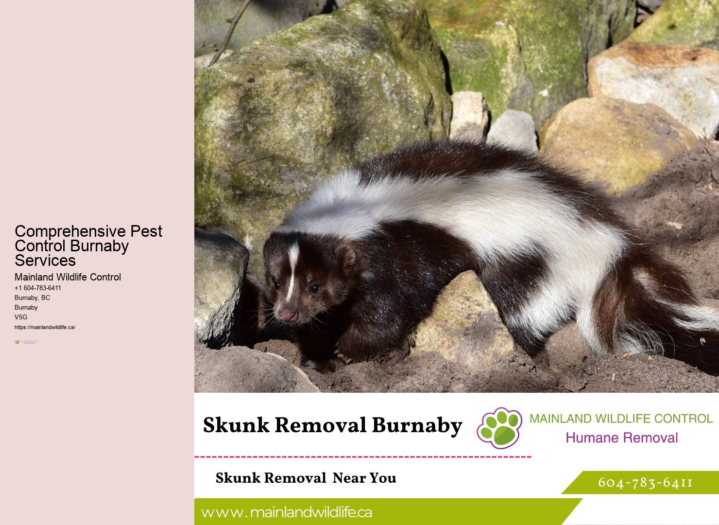 State-of-the-art Pest Control Tools Burnaby