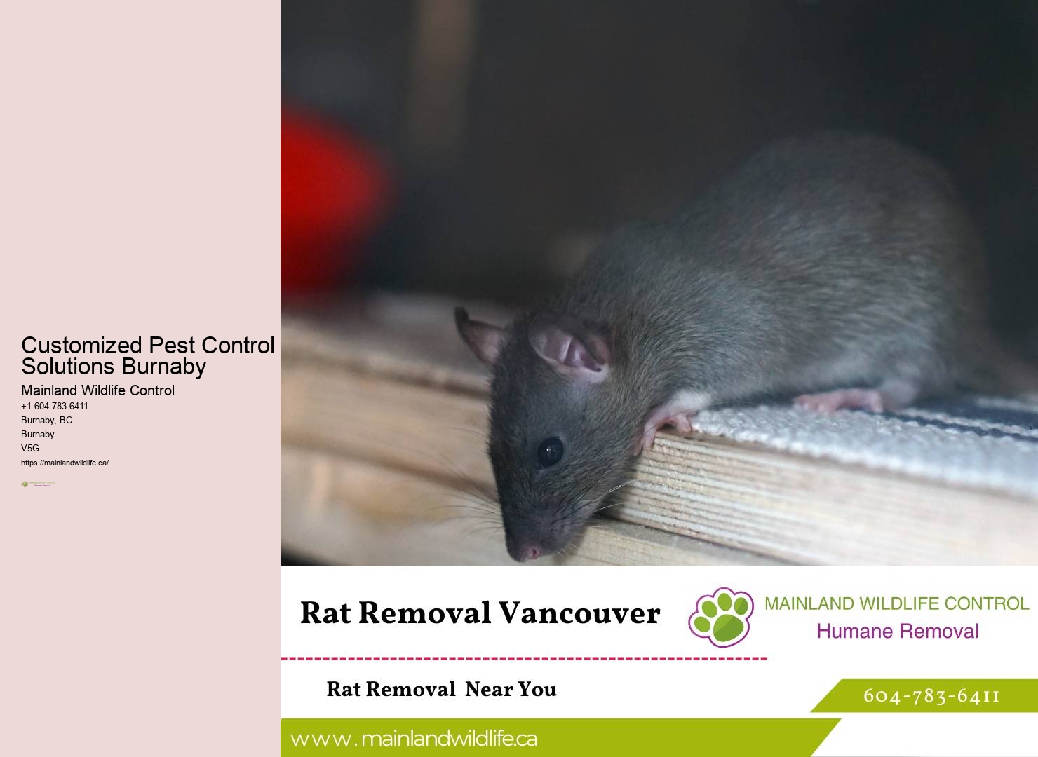 Bird Pest Control Burnaby