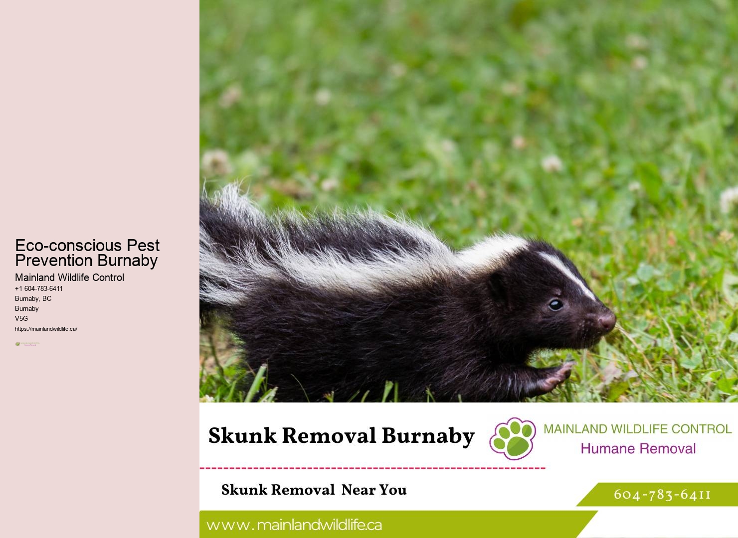 Advanced Eco-conscious Pest Removal Approaches Burnaby