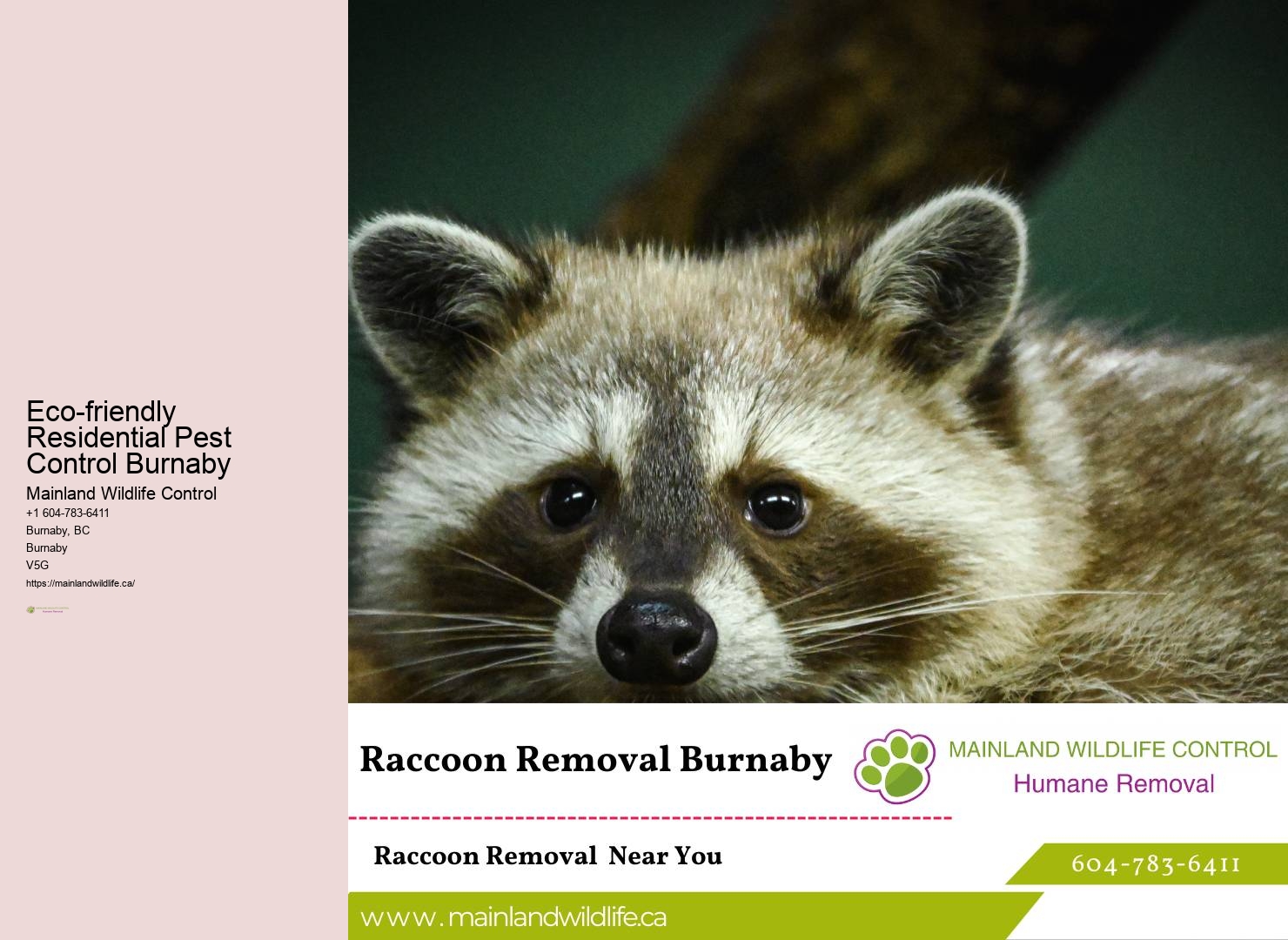 Expert Eco-friendly Pest Eradication Strategies Burnaby