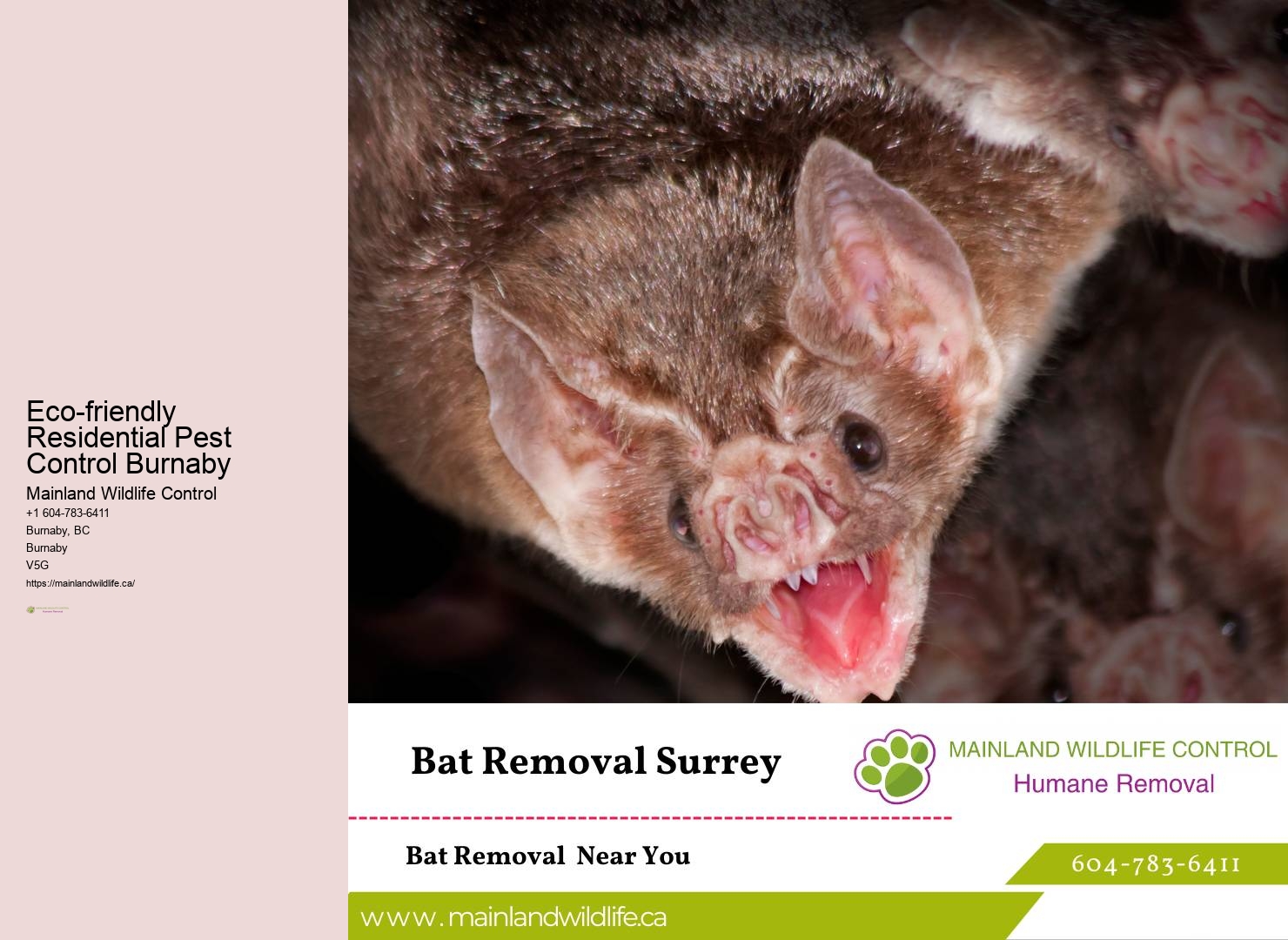Timely Pest Control Services Burnaby