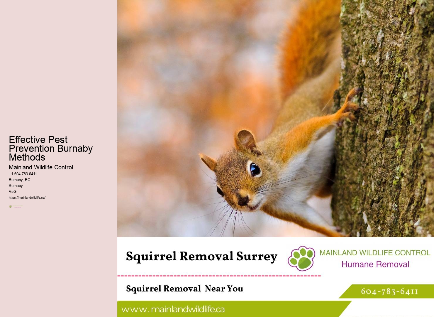 Unique Pest Control Methods Burnaby