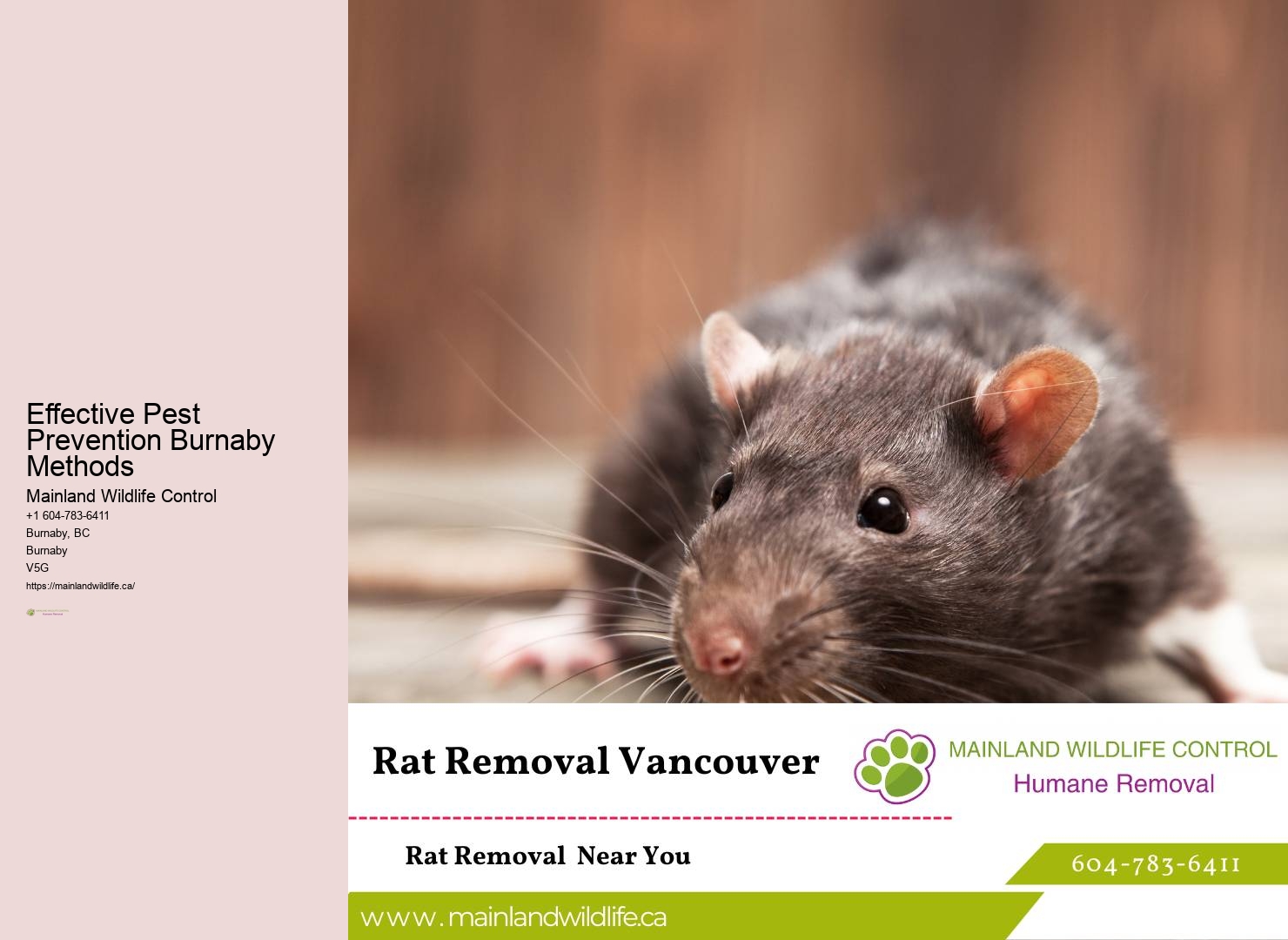 Dependable Pest Control Burnaby Services