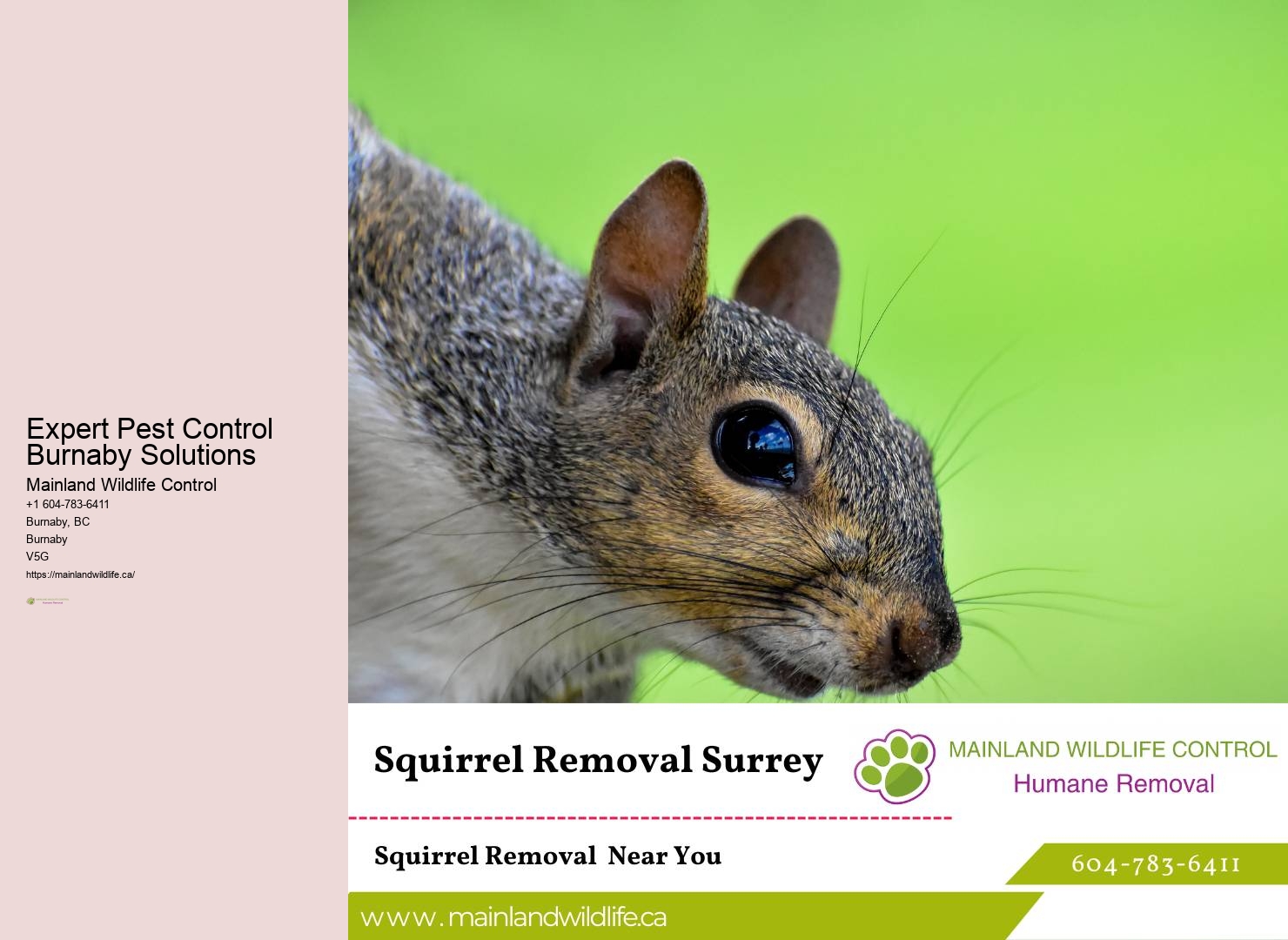 Advanced Pest Removal Burnaby Techniques
