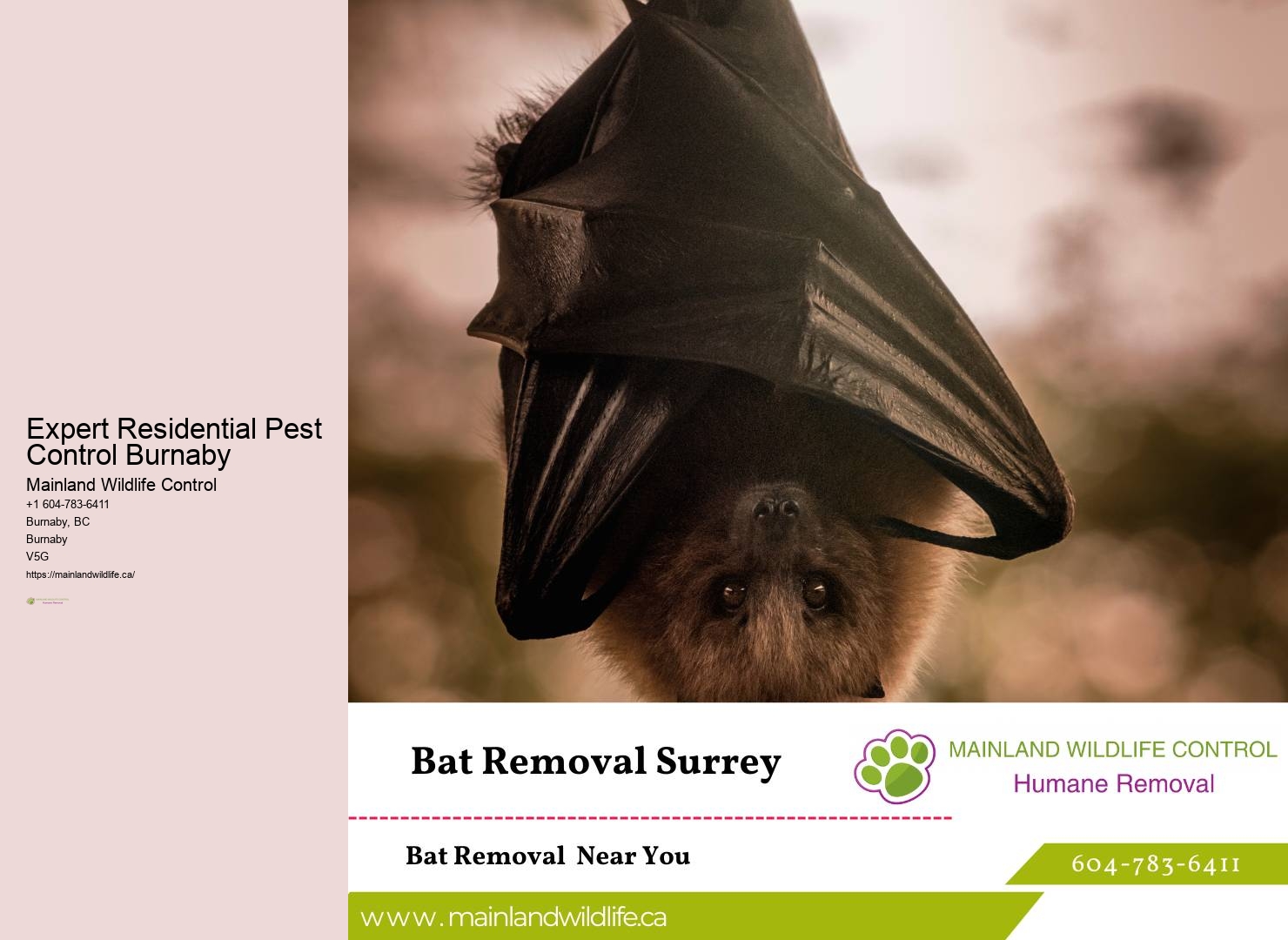 Comprehensive Pest Control Burnaby