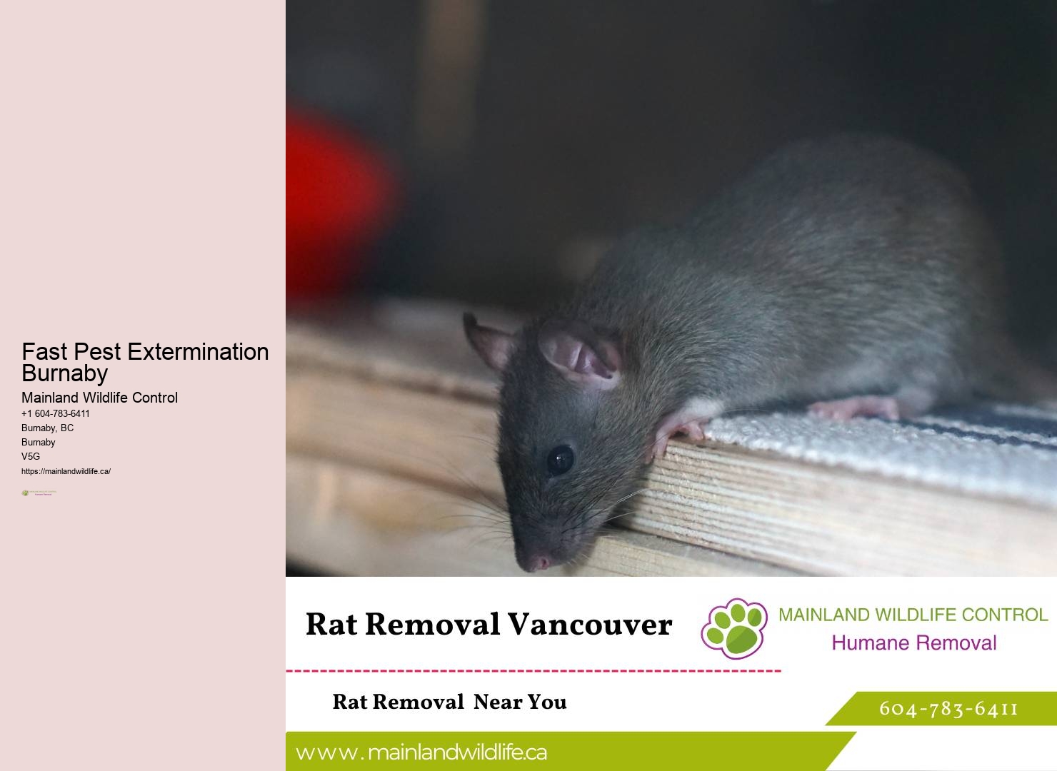 Green Pest Control Burnaby