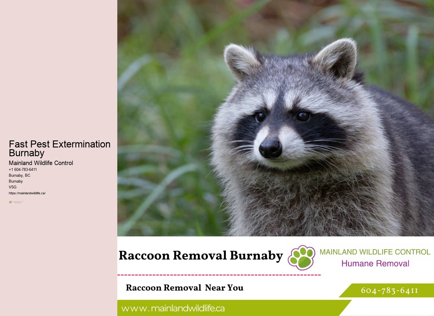 Burnaby Pest Control