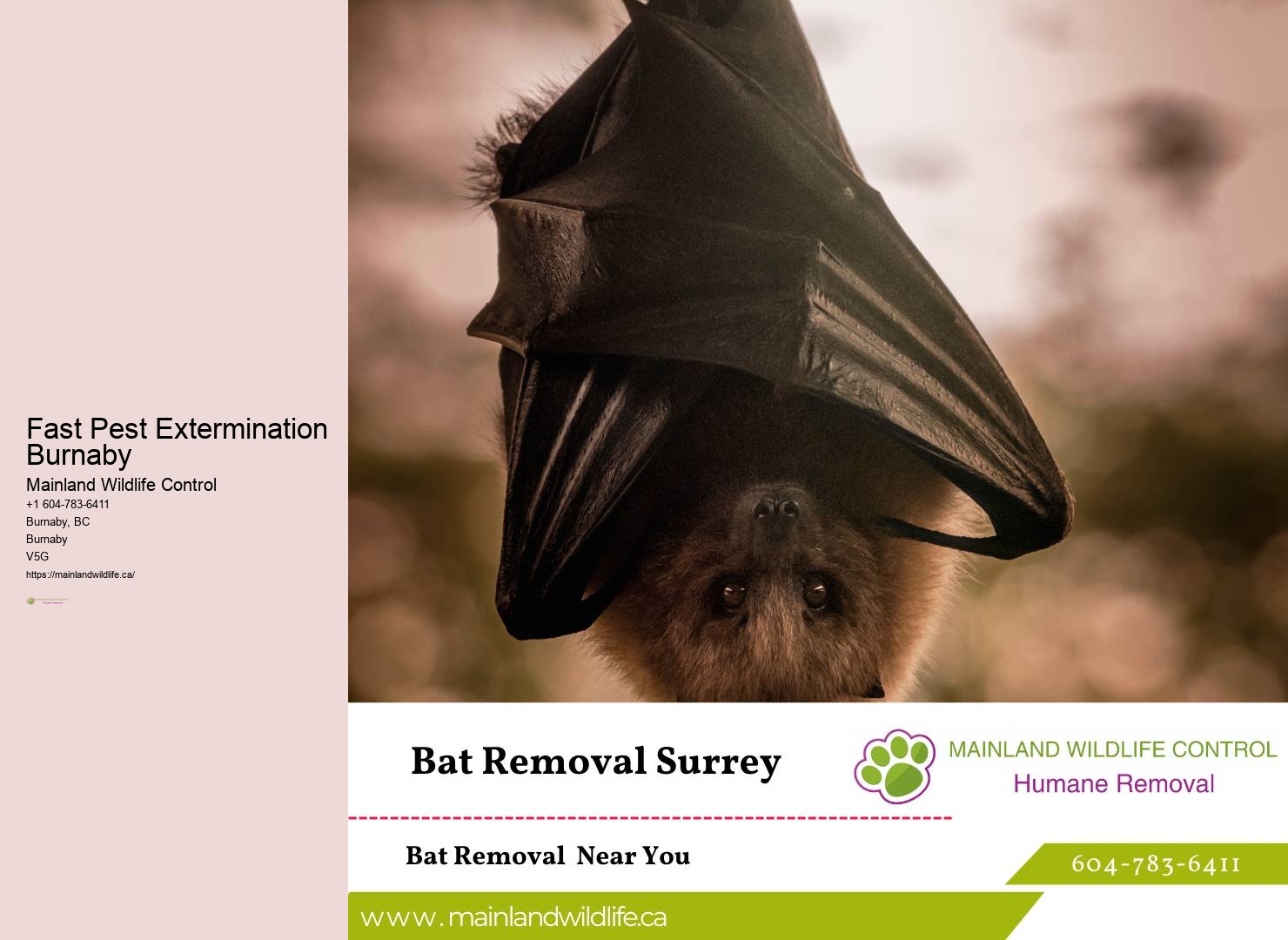 Pest prevention Burnaby
