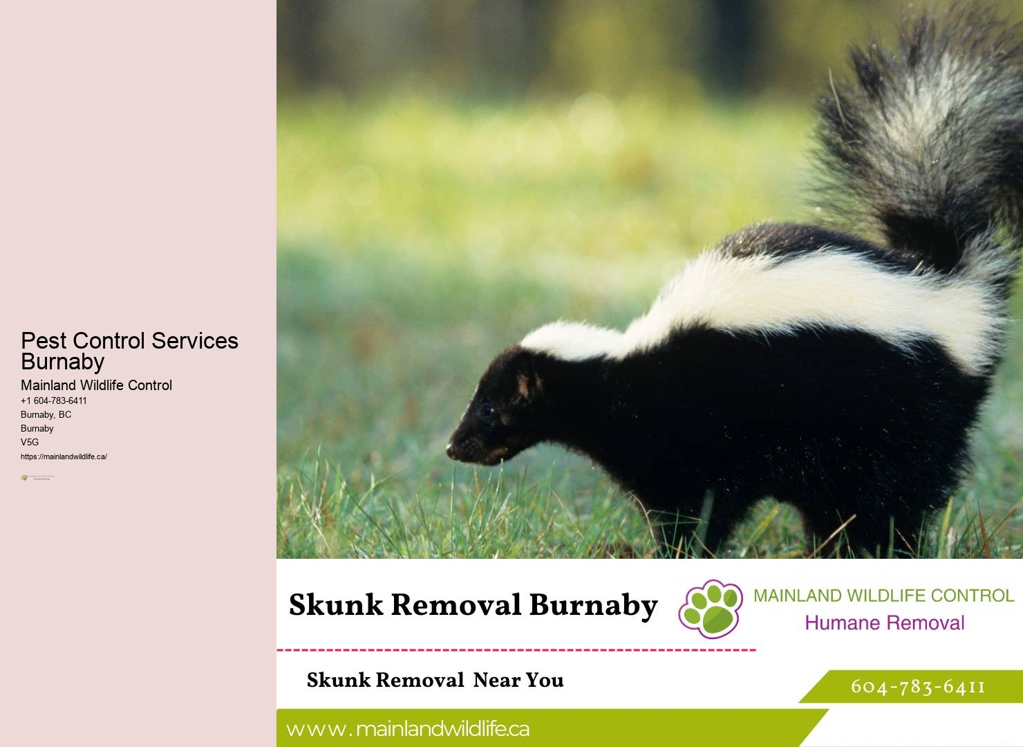 Expert Pest Control Burnaby Solutions