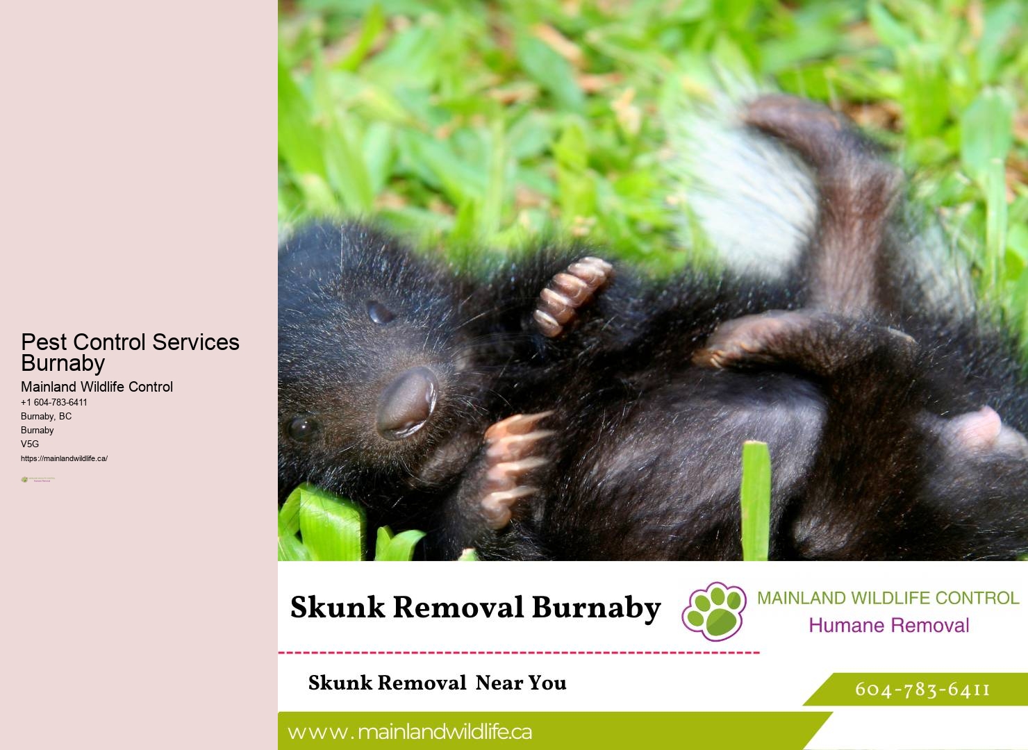 Discreet Pest Control Services Burnaby
