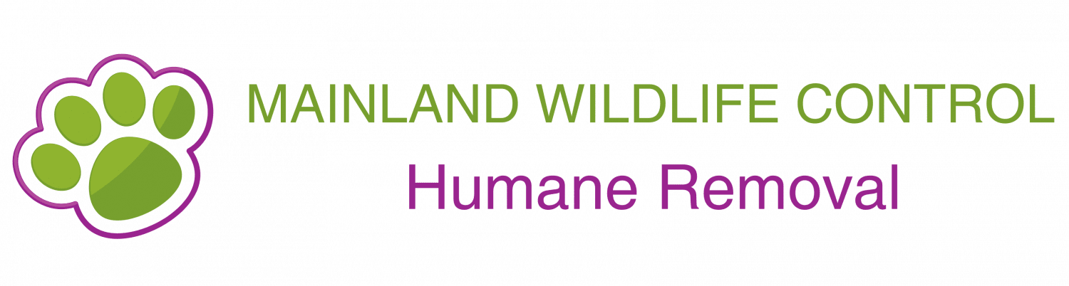 img/mainland-wildlife-control-logo-full-1500x402.png