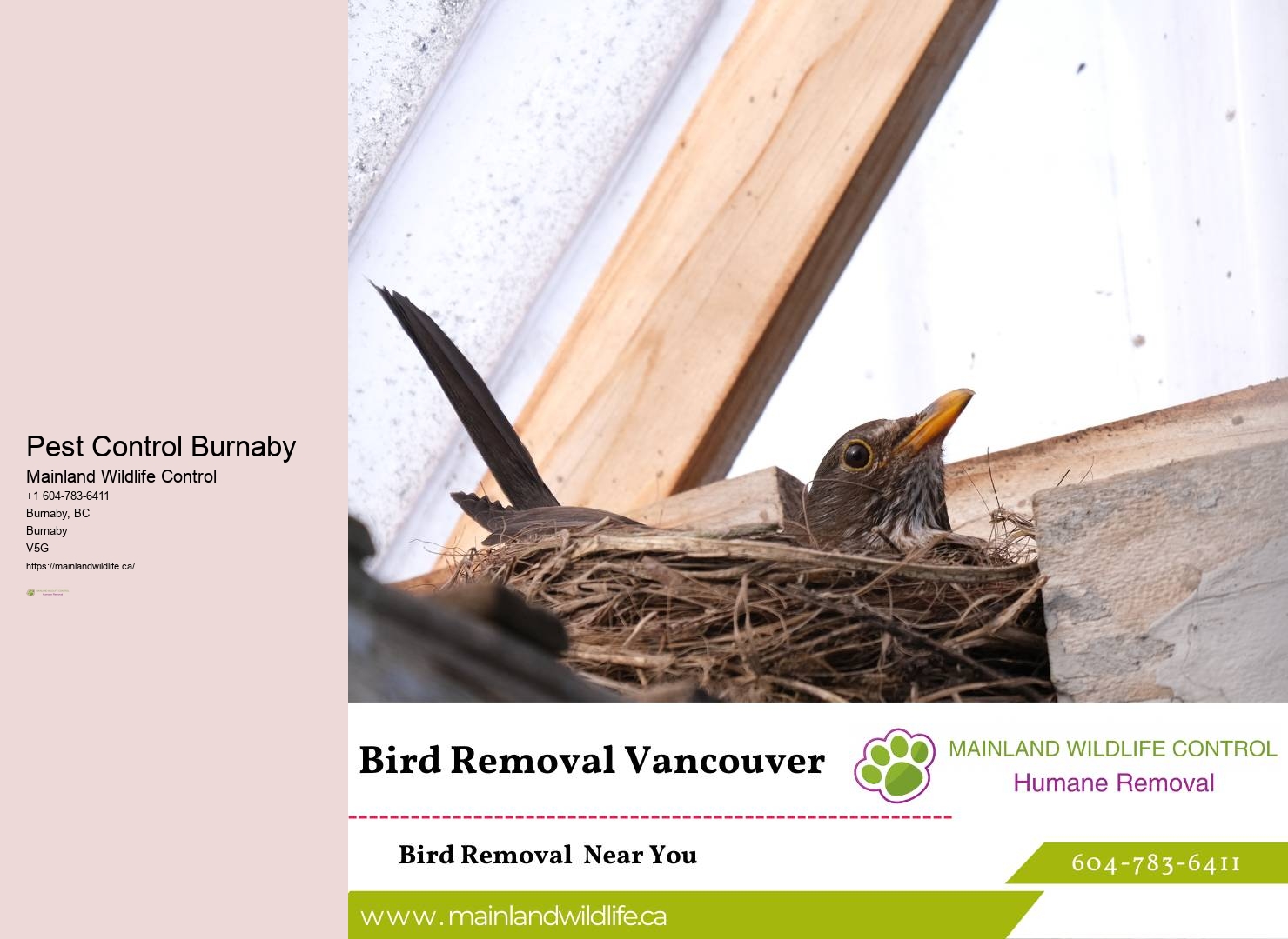 Pest Control Technicians Burnaby