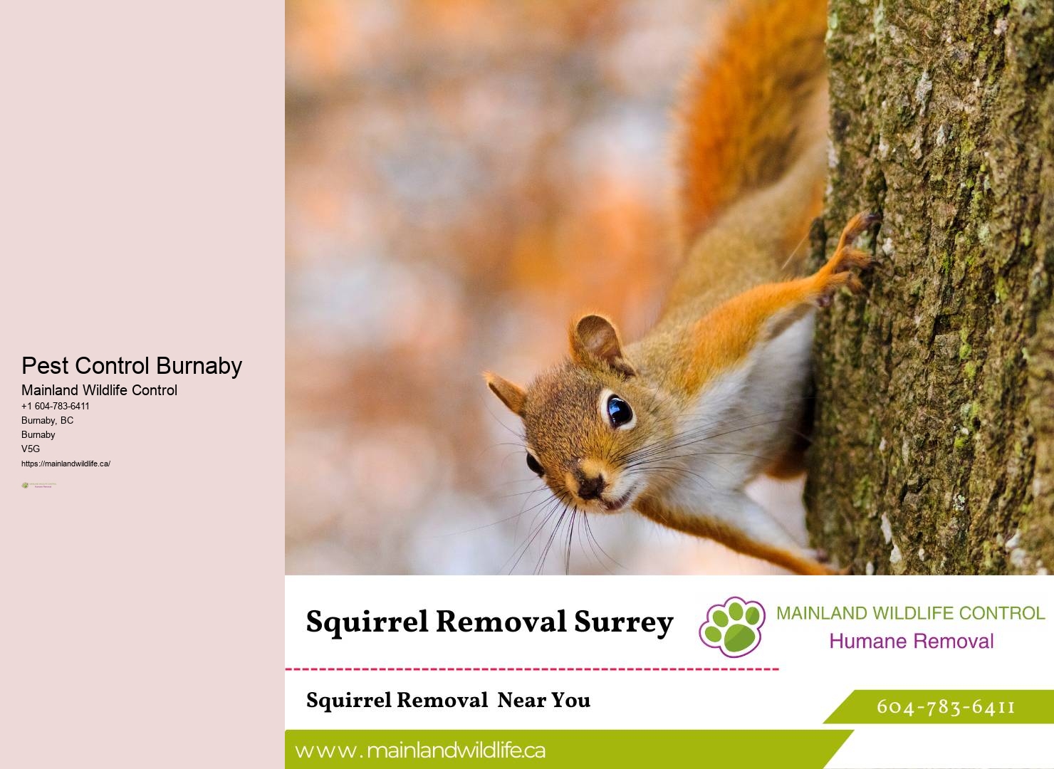 Customized Pest Control Burnaby