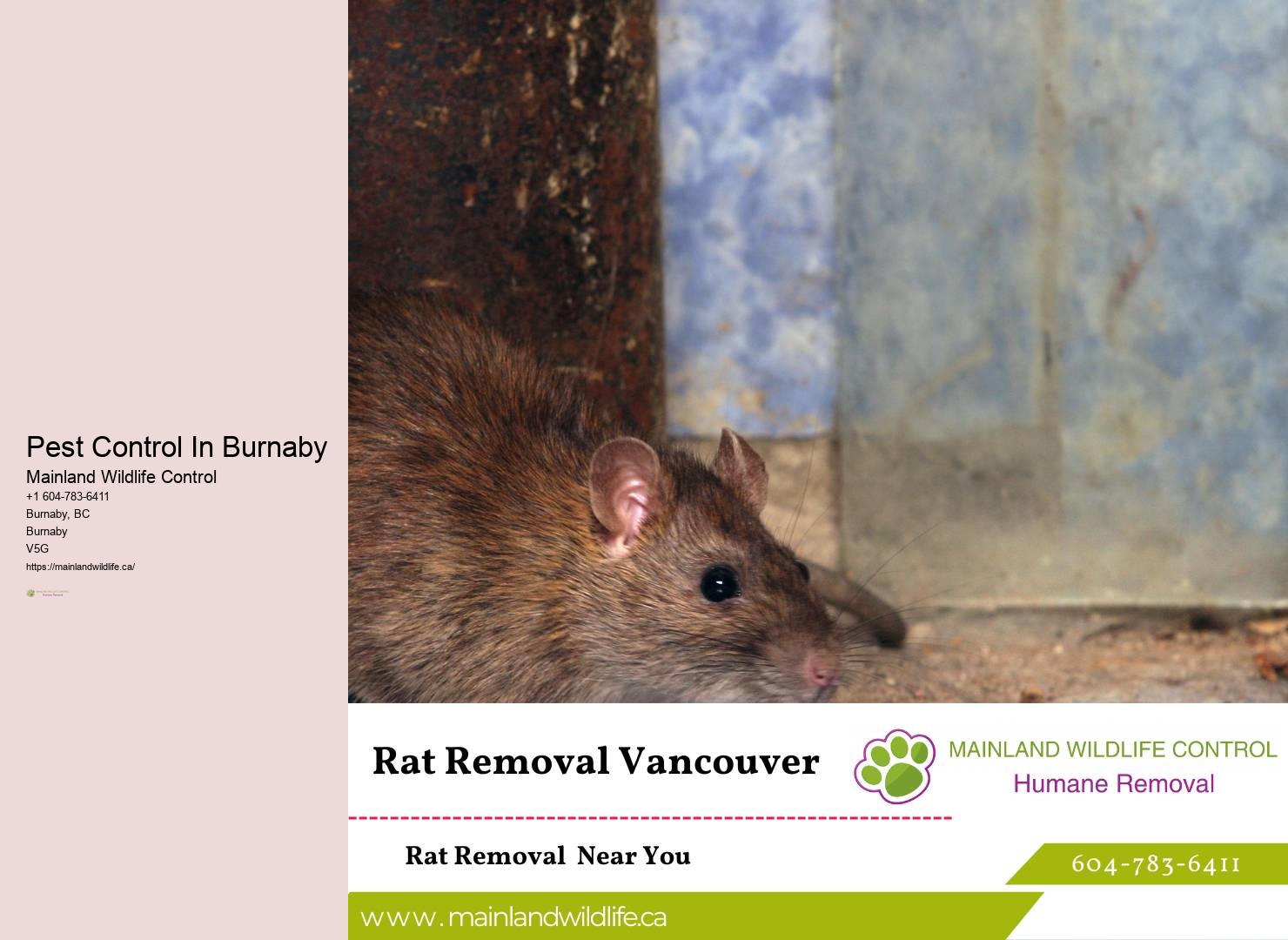 Superior Pest Control Solutions Burnaby