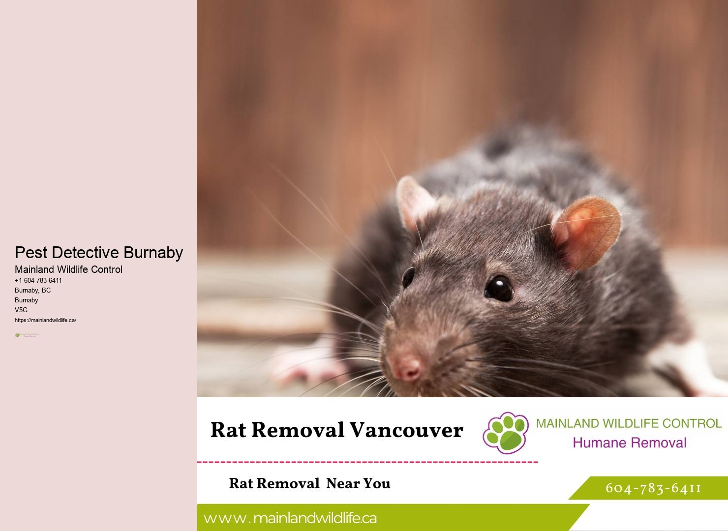 Safe Eco-friendly Pest Prevention Burnaby