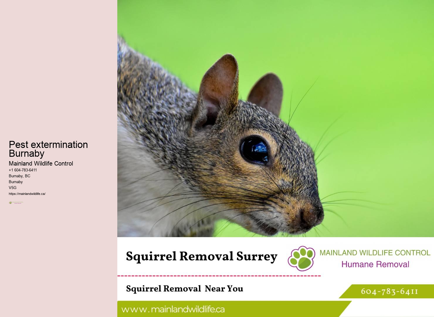 Bonded Pest Control Burnaby