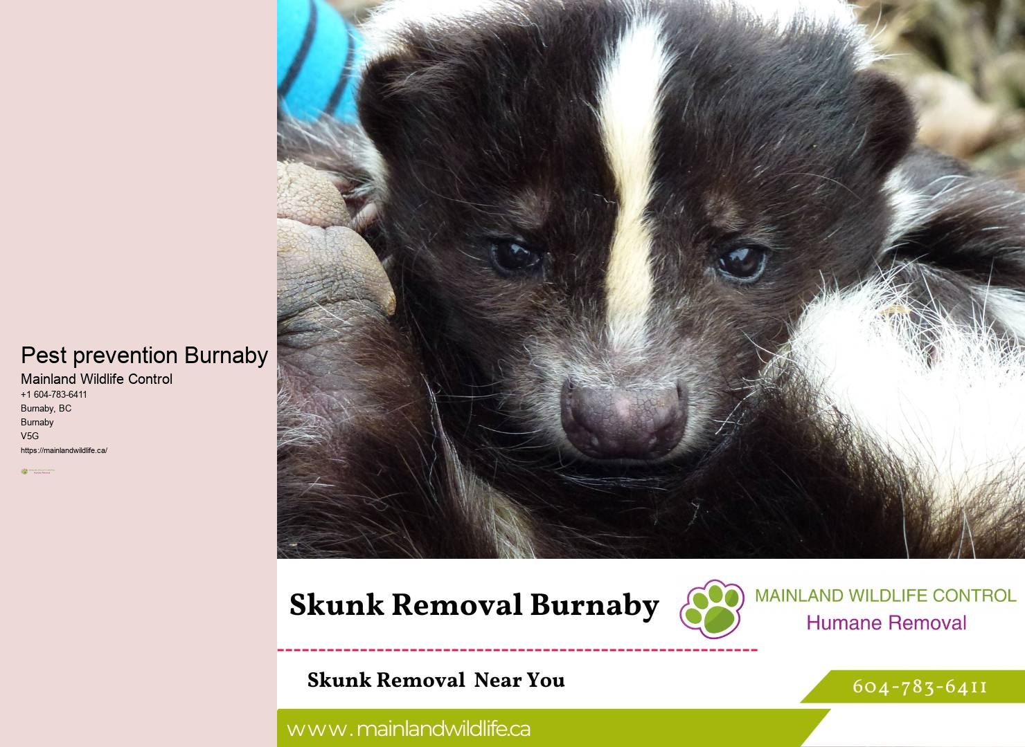 Reliable Residential Pest Removal Burnaby