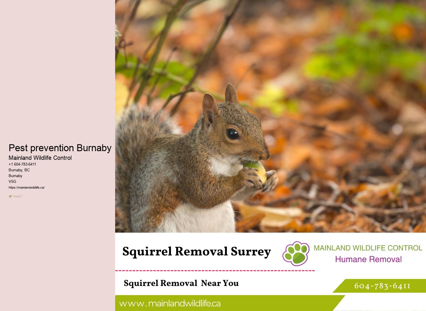 Predictive Pest Control Solutions Burnaby