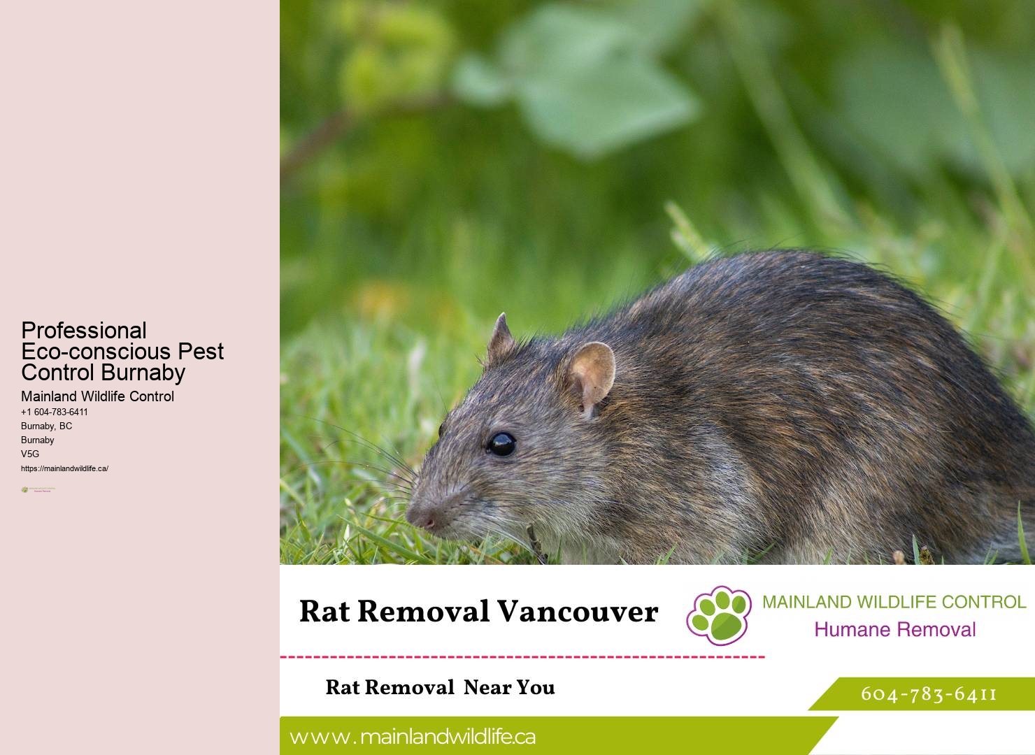 Pest Control Services Burnaby