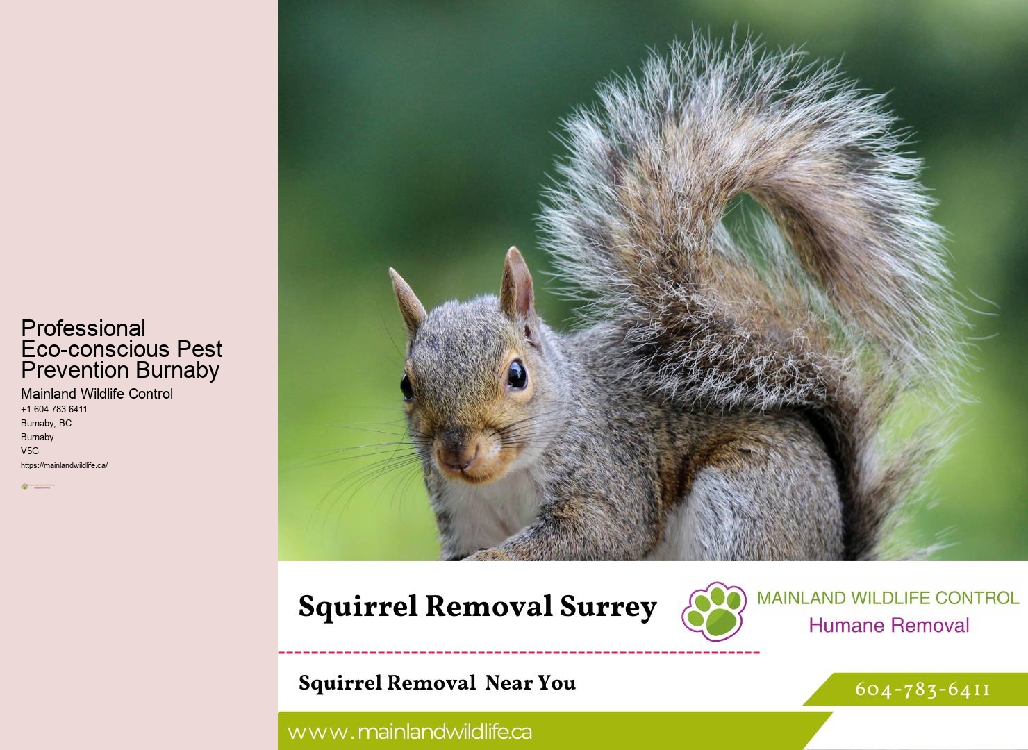 Advanced Residential Pest Extermination Burnaby
