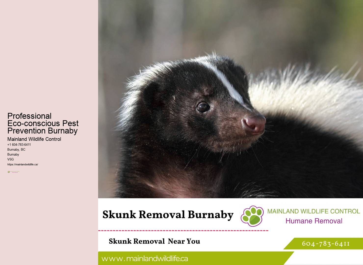 Premier Pest Control Services Burnaby