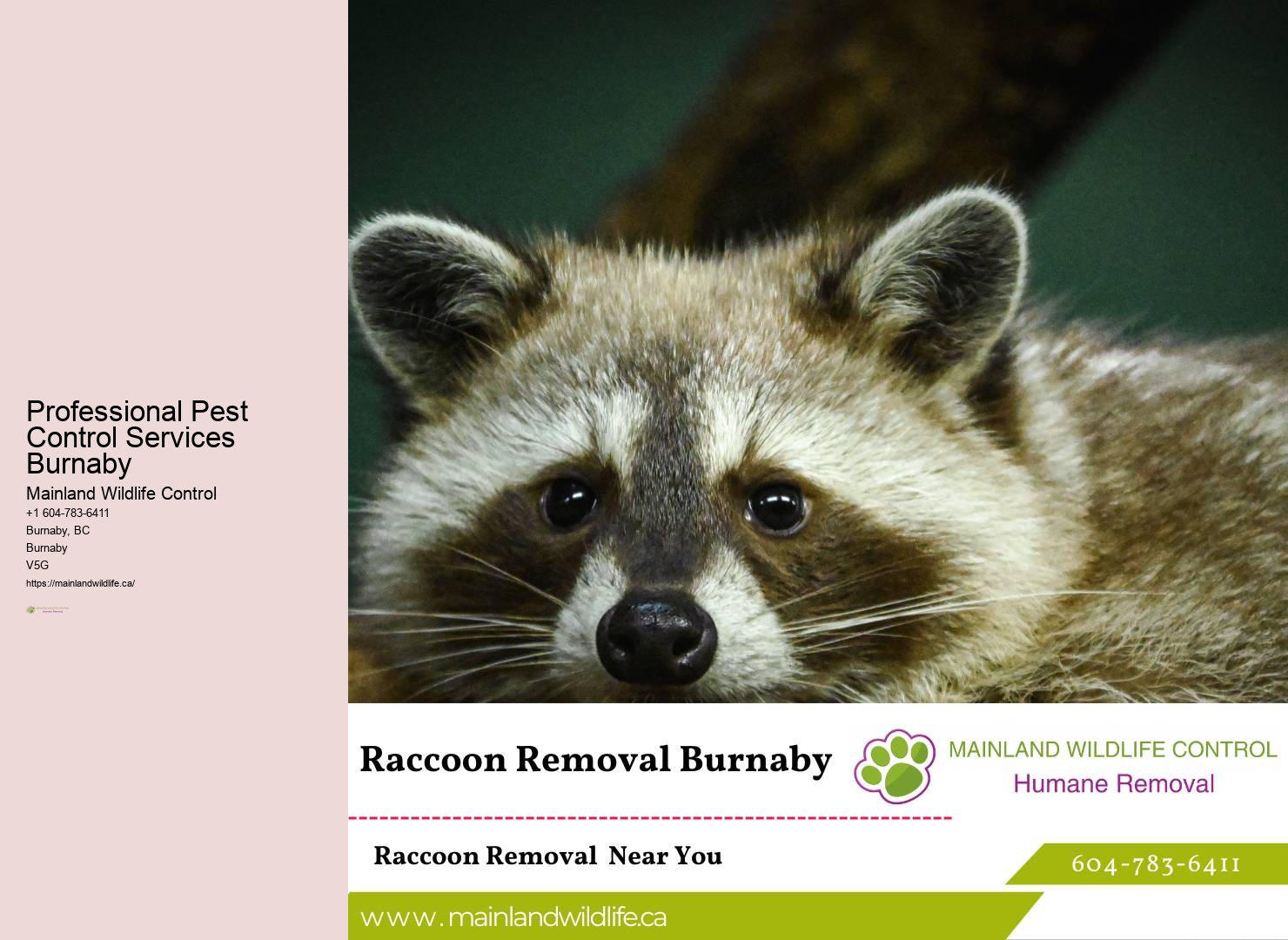 Advanced Pest Control Techniques Burnaby
