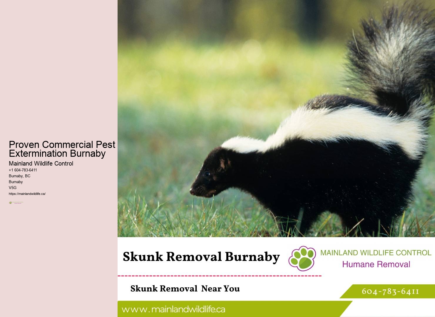 Comprehensive Insect Control Burnaby