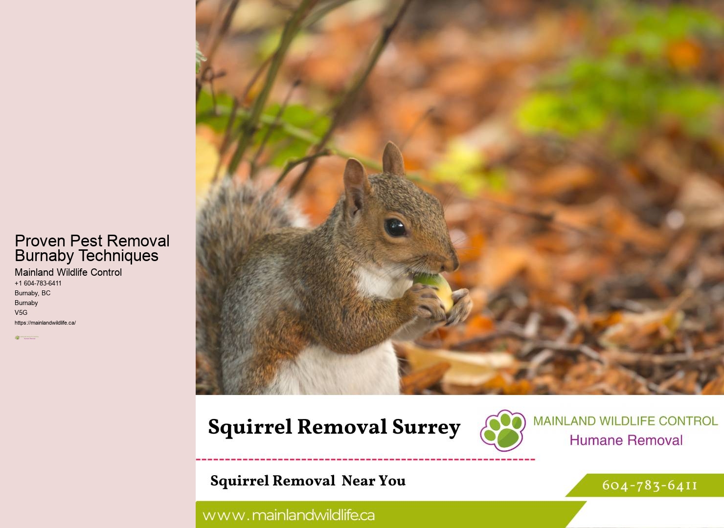Quality Pest Control Services Burnaby